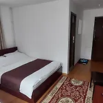 Casa Ryana Sinaia