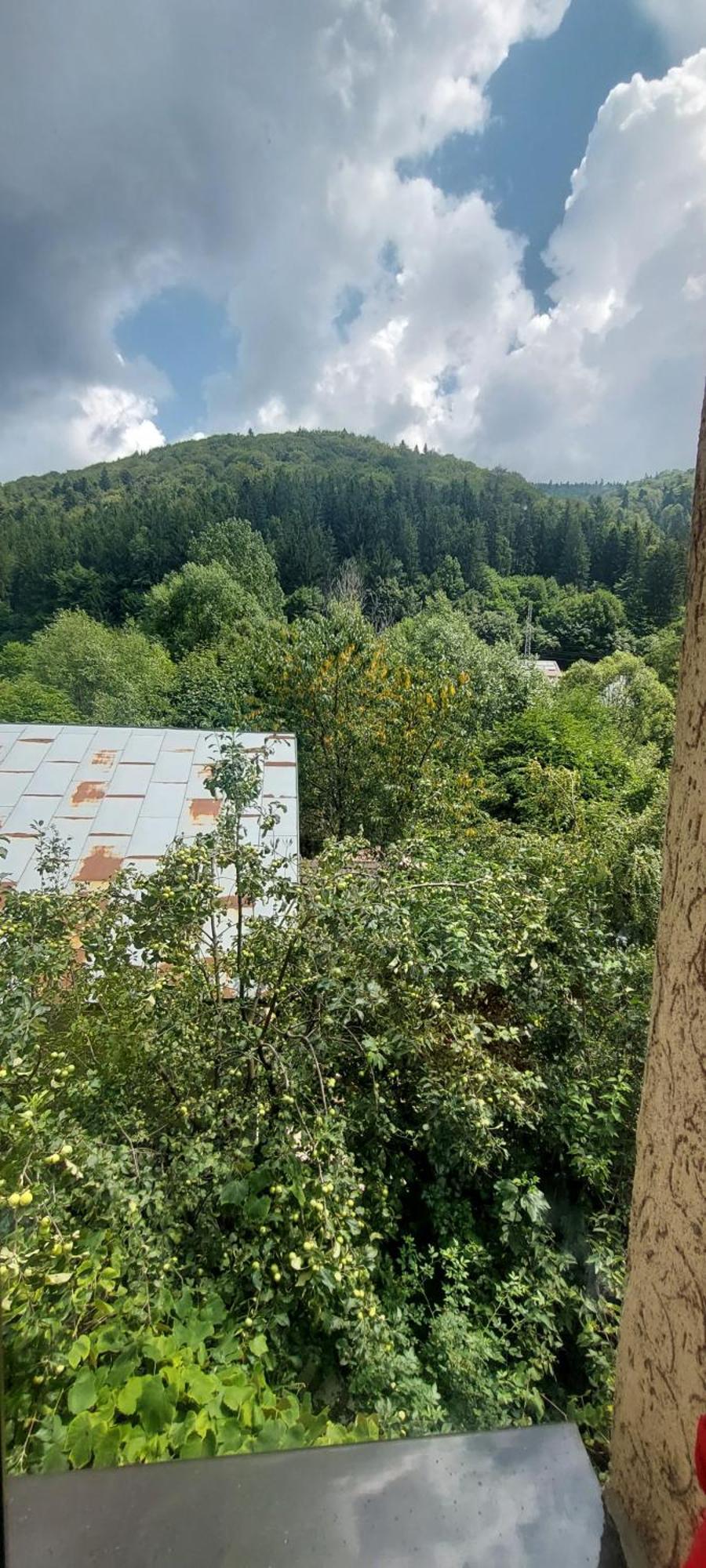 Casa Ryana Guest house Sinaia