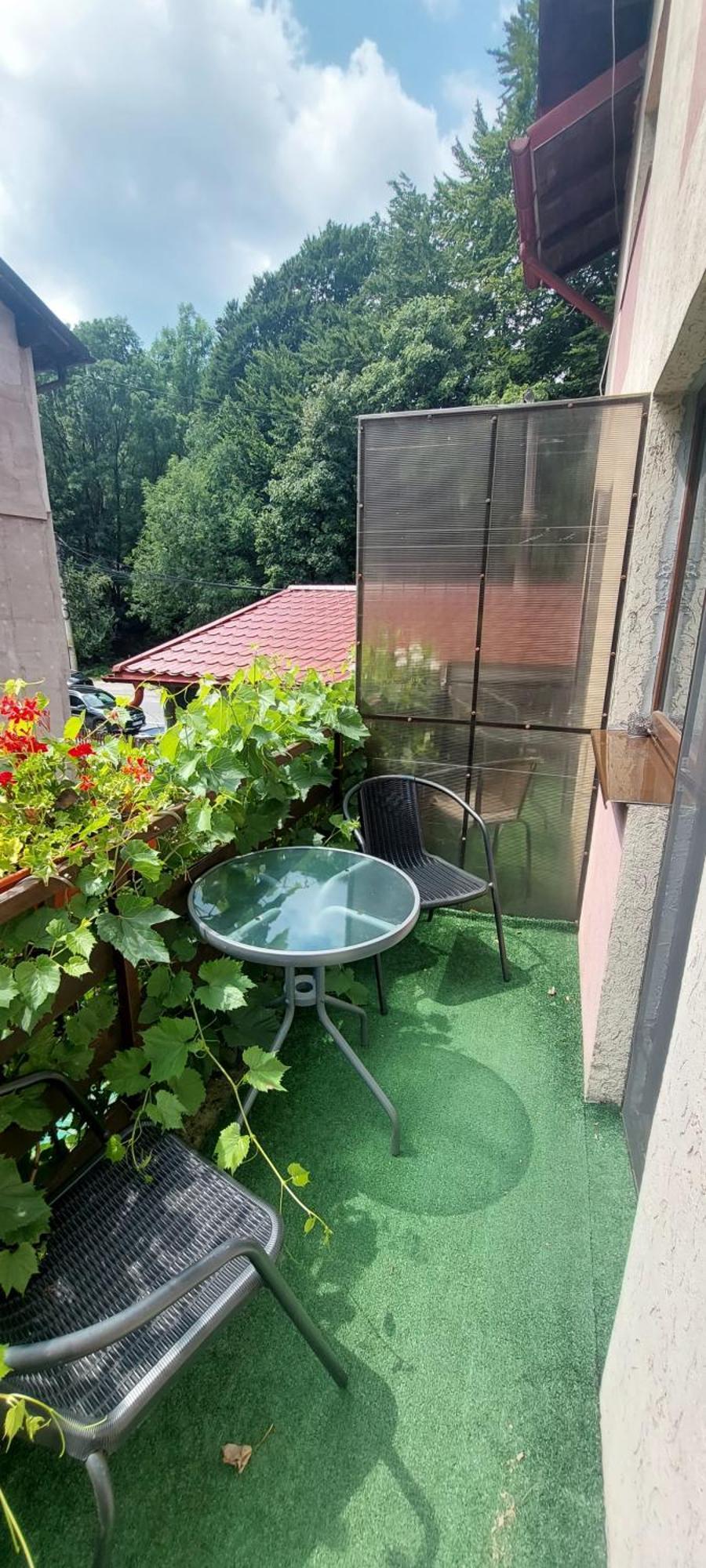 Guest house Casa Ryana Sinaia