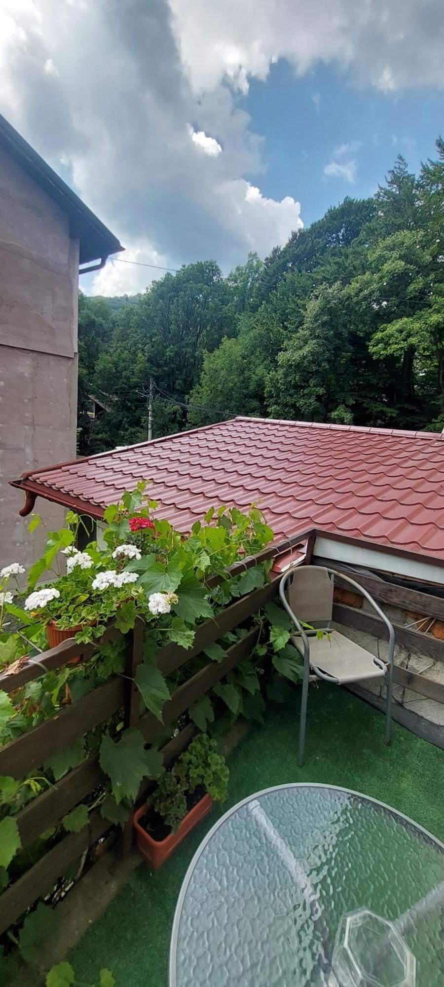 Casa Ryana * Sinaia